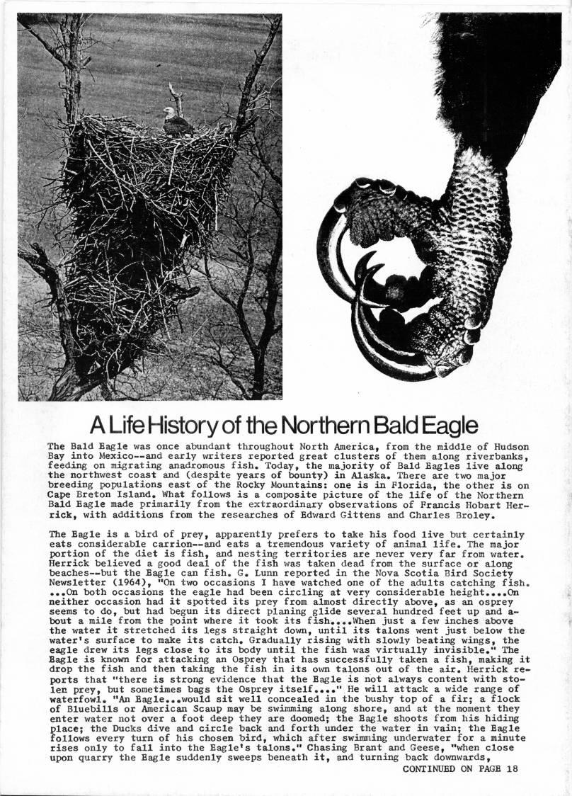 Back Cover - A Life History of the Northern Bald Eagle